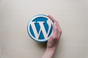 Site WordPress pas cher - Agence Web Strasbourg 